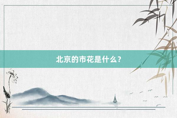 北京的市花是什么？