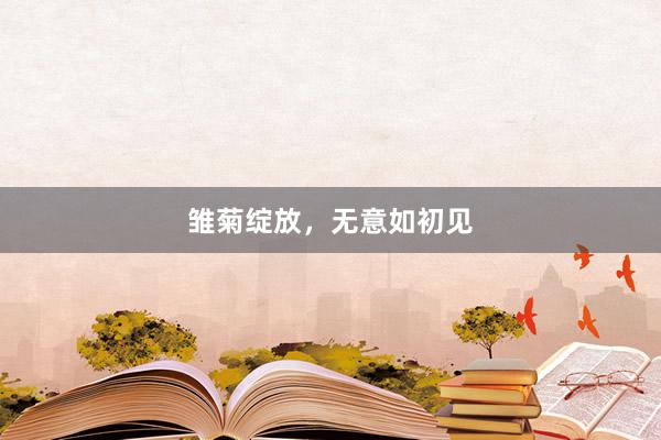 雏菊绽放，无意如初见