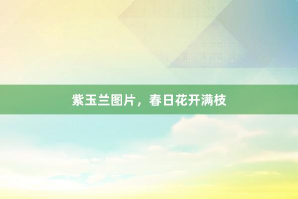 紫玉兰图片,春日花开满枝