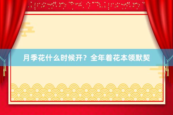 月季花什么时候开？全年着花本领默契
