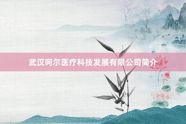 武汉呵尔医疗科技发展有限公司简介
